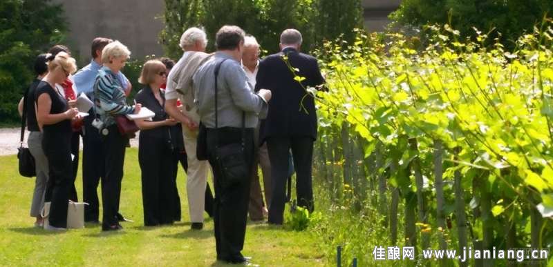 輕松學(xué)酒：給葡萄酒初學(xué)者的7點(diǎn)建議